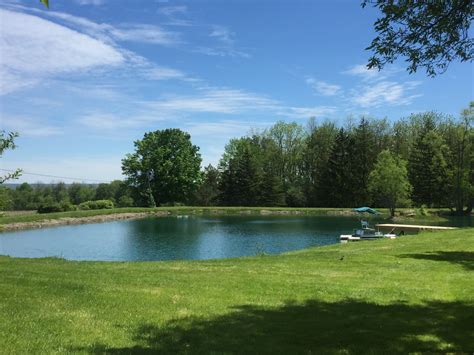 Big Brown Fish & Pay Lakes offers 3 fishing ponds; two for trout and one for largemouth bass. No fishing license is necessary. We have everything you need for a great day of fishing!